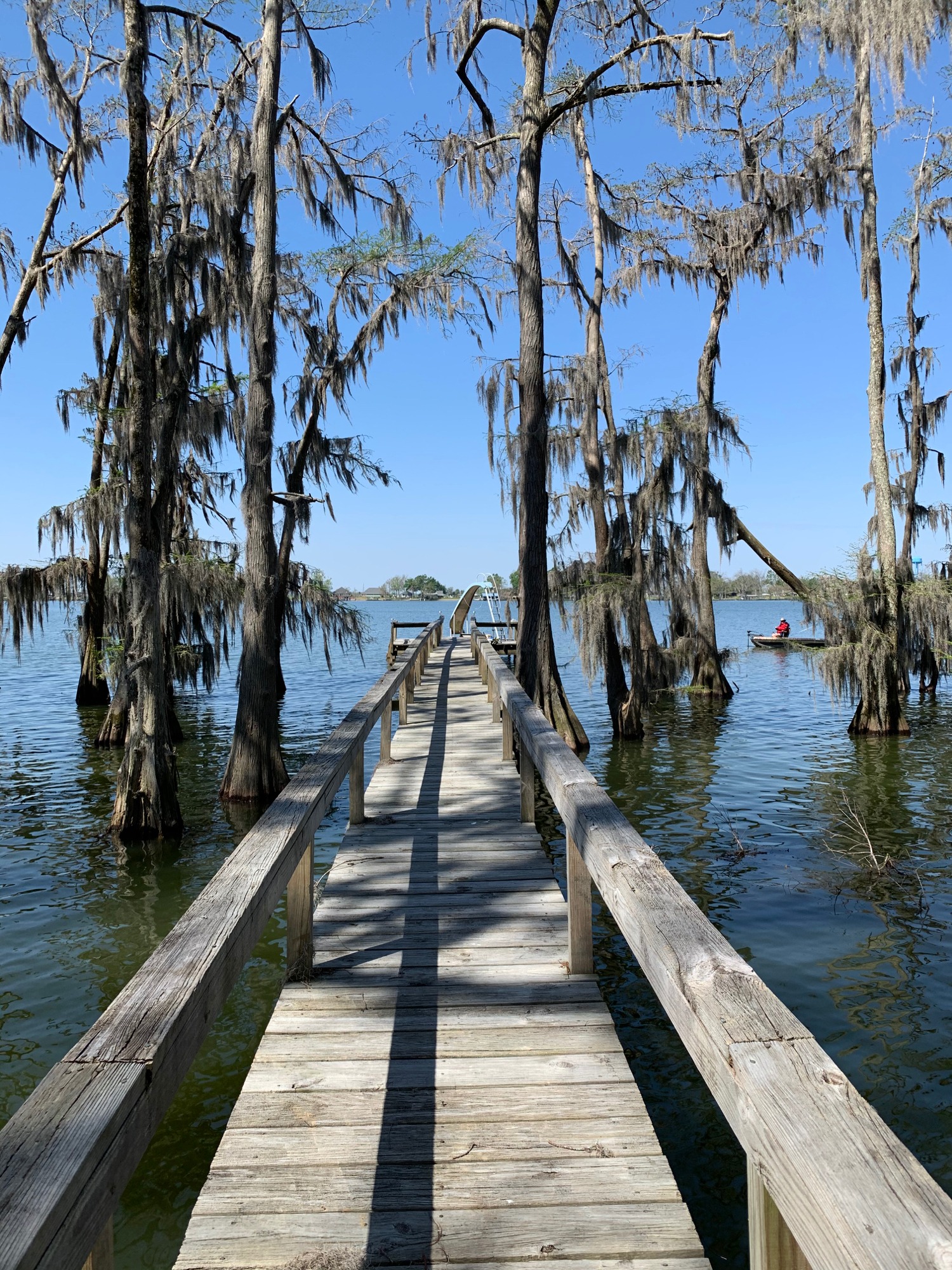 Lake St. John Jane Netterville Broker & Associates