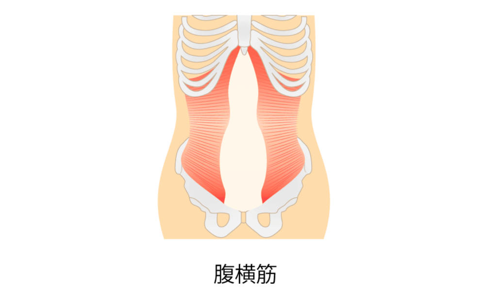 【ジムトレーナー直伝】1日5分だけ！腹筋の簡単な鍛え方