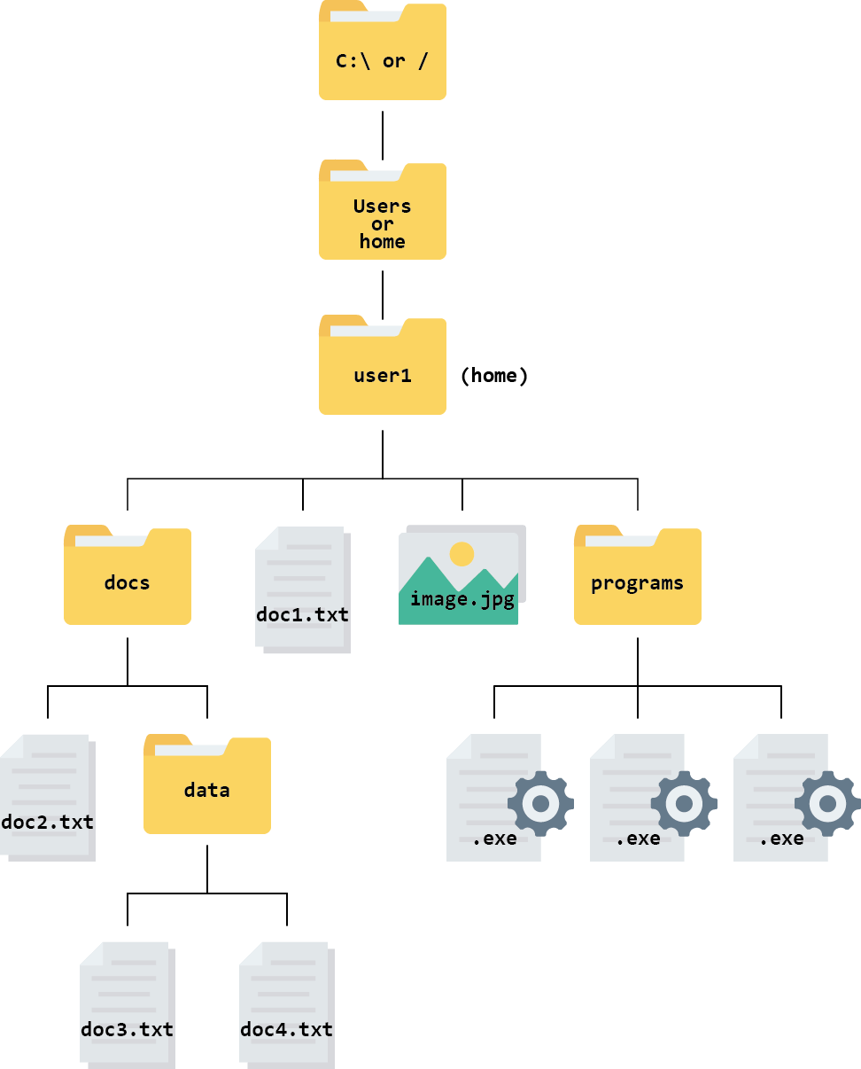 Understanding your file system Files and Directories