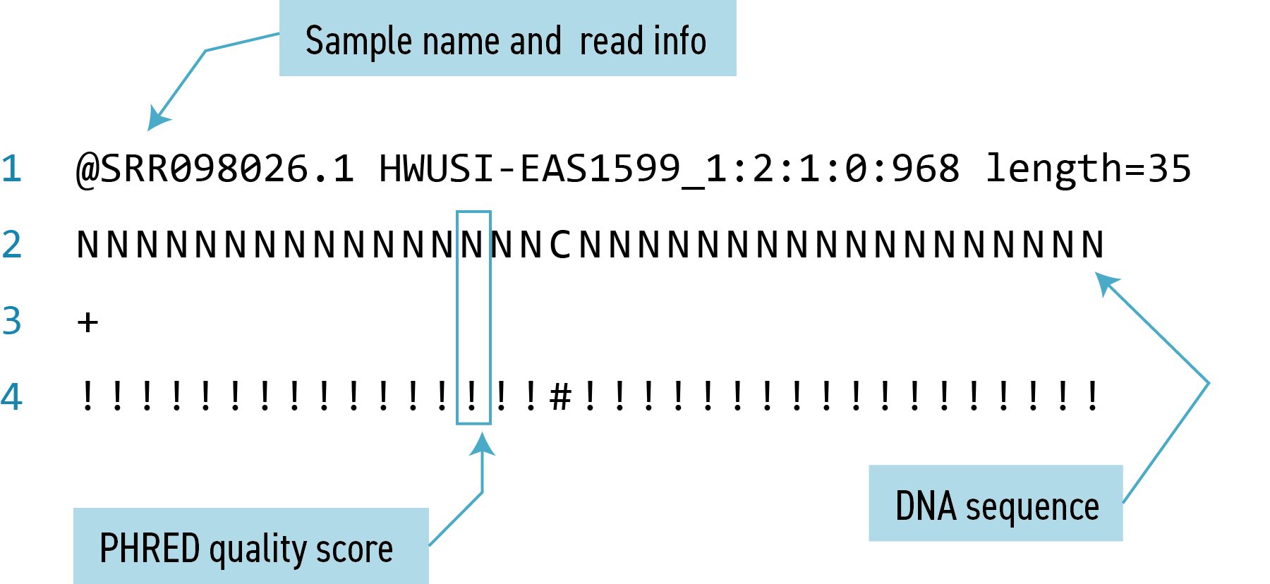 Understanding your file system Files and directories