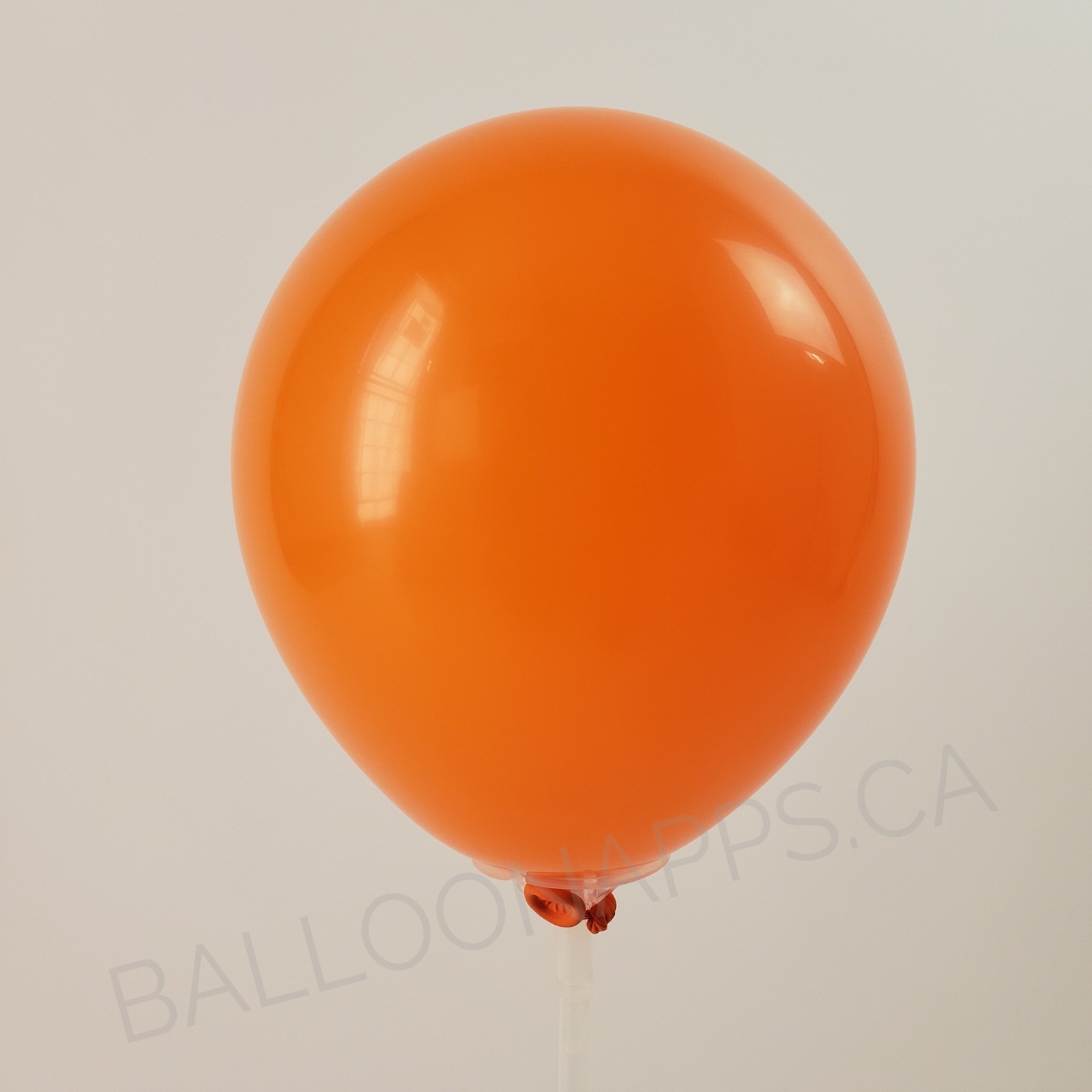 Qualatex 350 Standard Orange 360 Twisting Balloons balloons Balloons