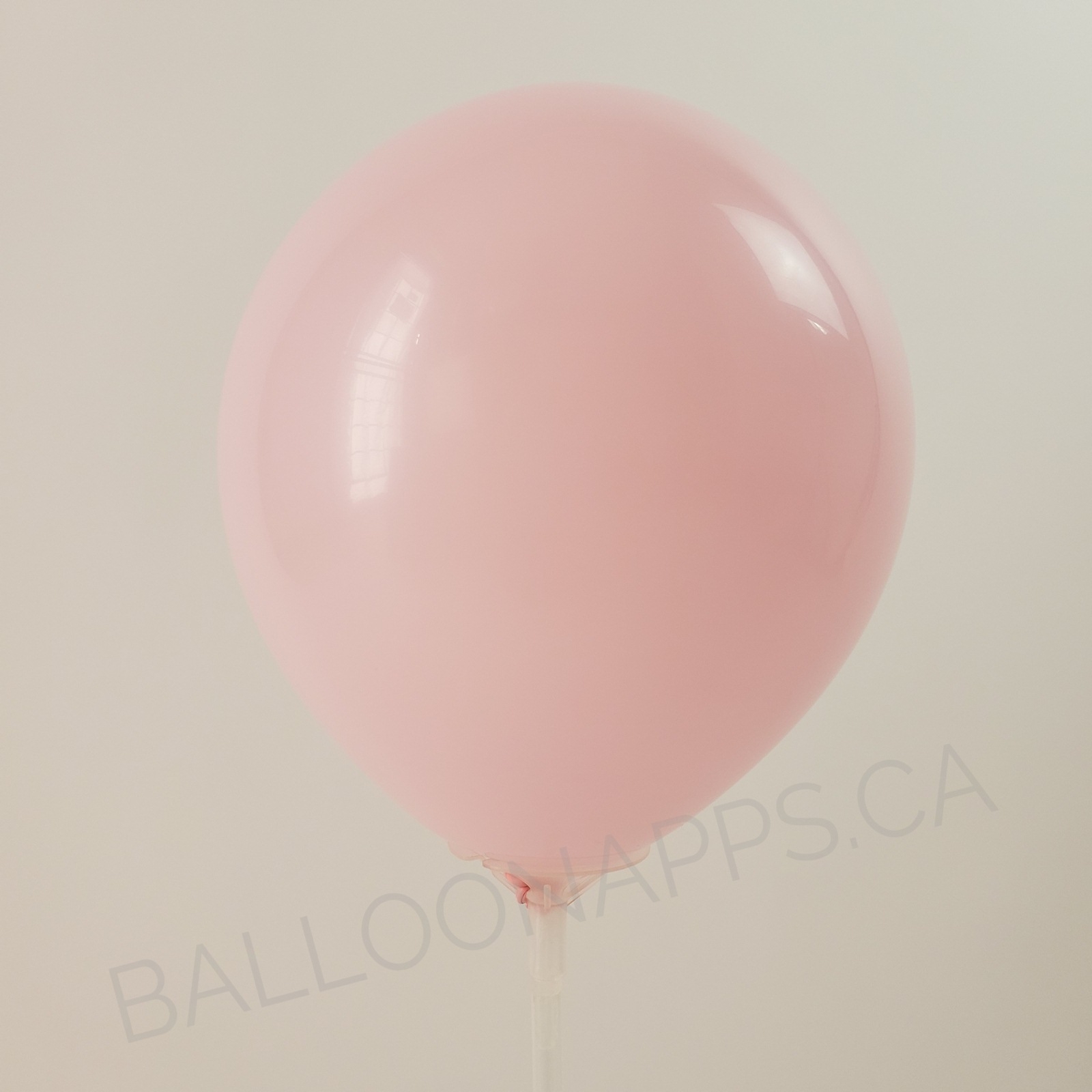 Q 260 Standard Pink balloons balloons Qualatex Balloons supplier in