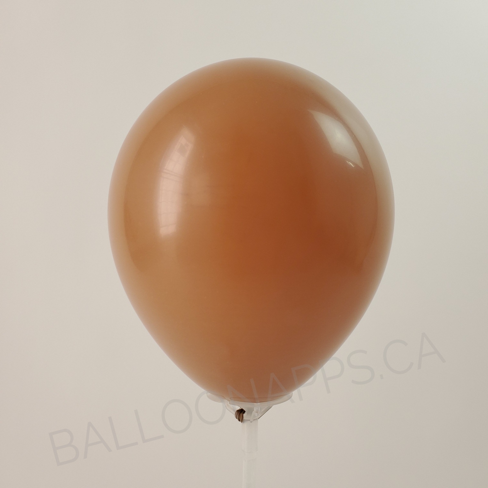 Q Fashion Mocha Brown balloons balloons Qualatex Balloons supplier in