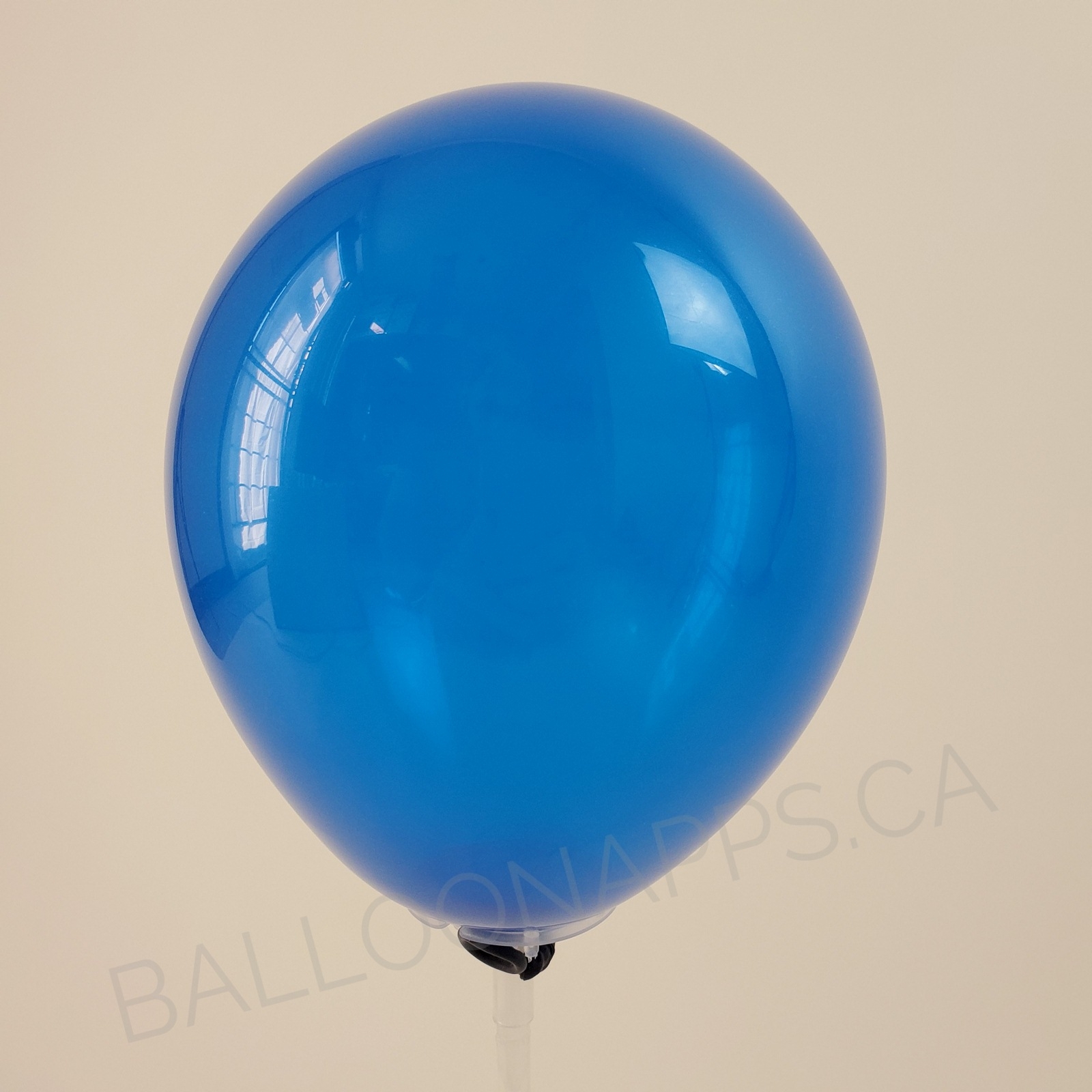 Q Jewel Sapphire Blue balloons balloons Qualatex Balloons supplier in