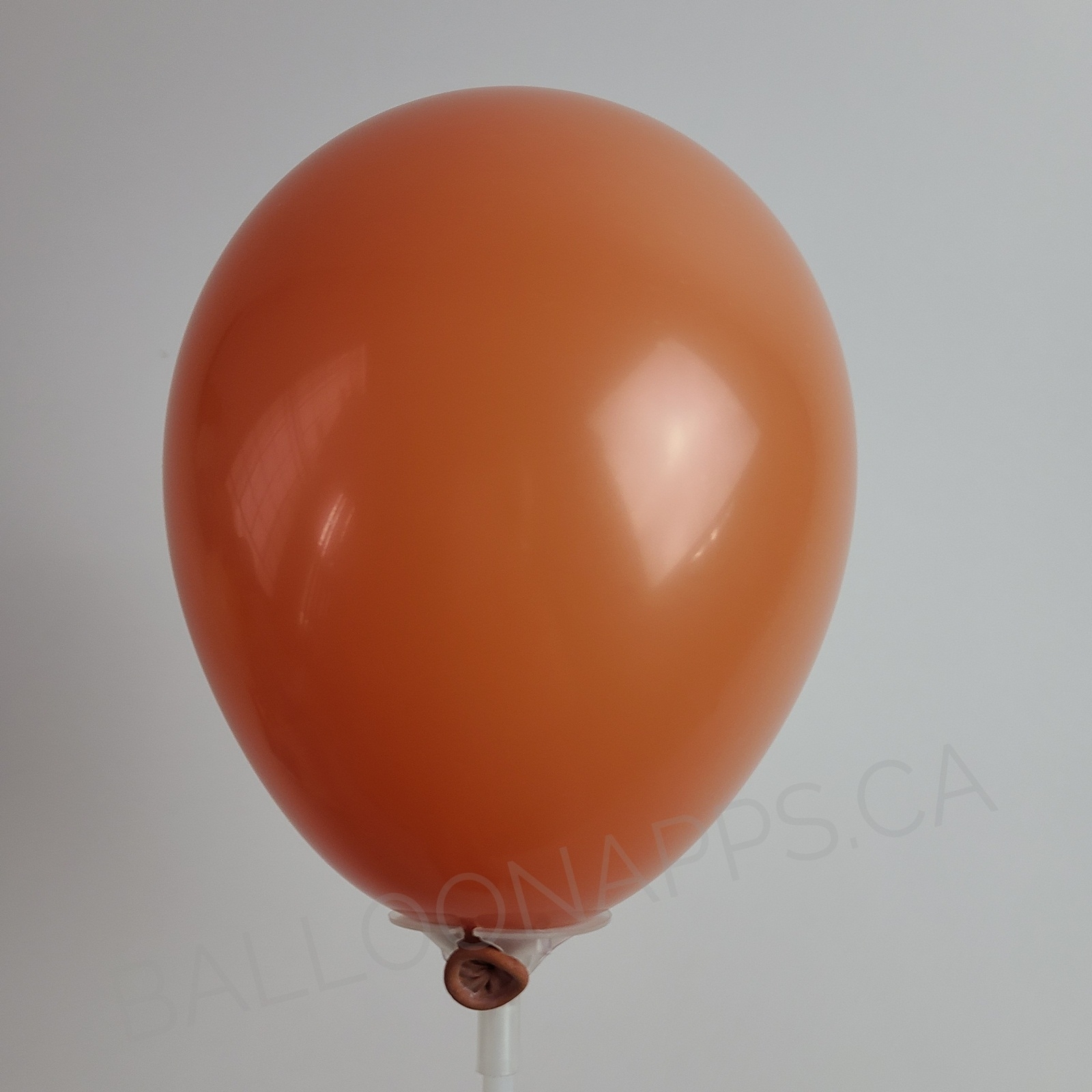 TUFTEX Burnt Orange balloon TUFTEX Balloons supplier in Canada Party