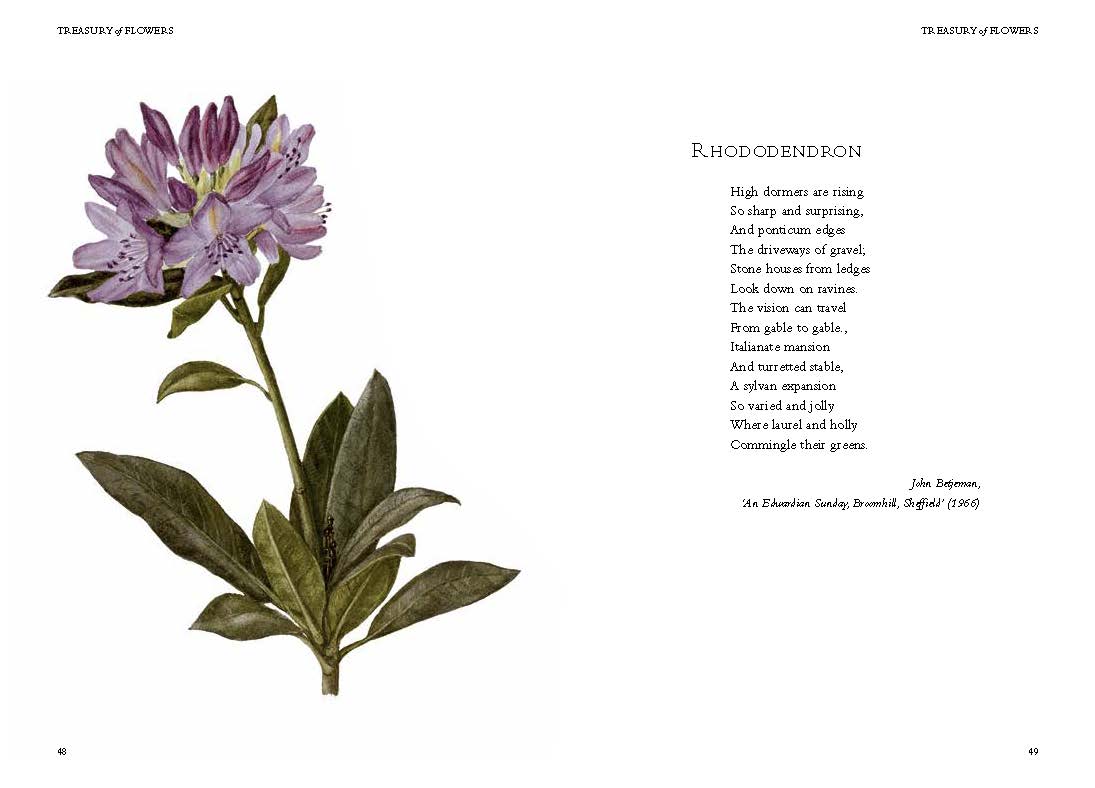 The RHS Book of Flower Poetry and Prose by Charles Elliott Quarto At