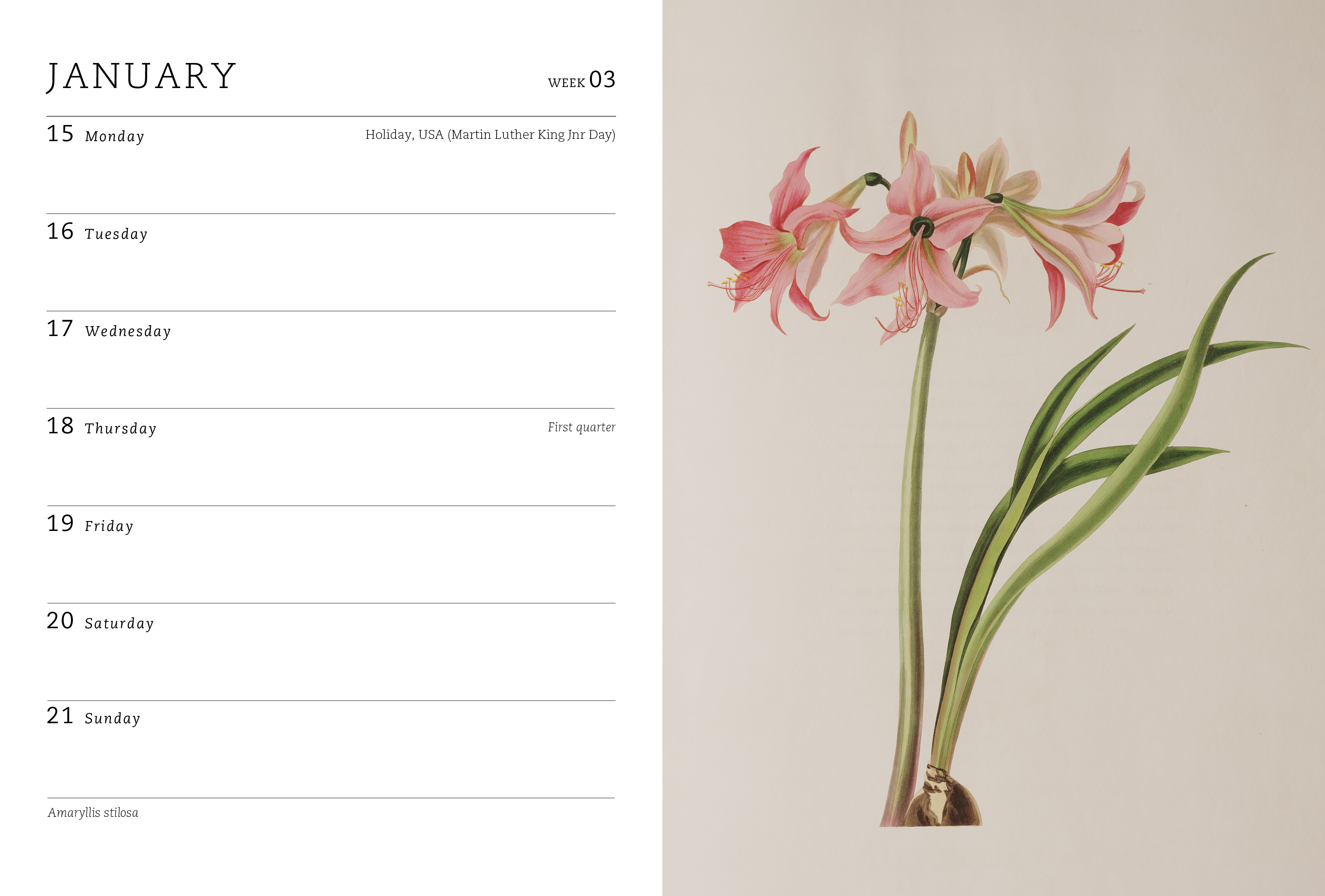 RHS Desk Diary 2024 by Royal Horticultural Society Quarto At A Glance