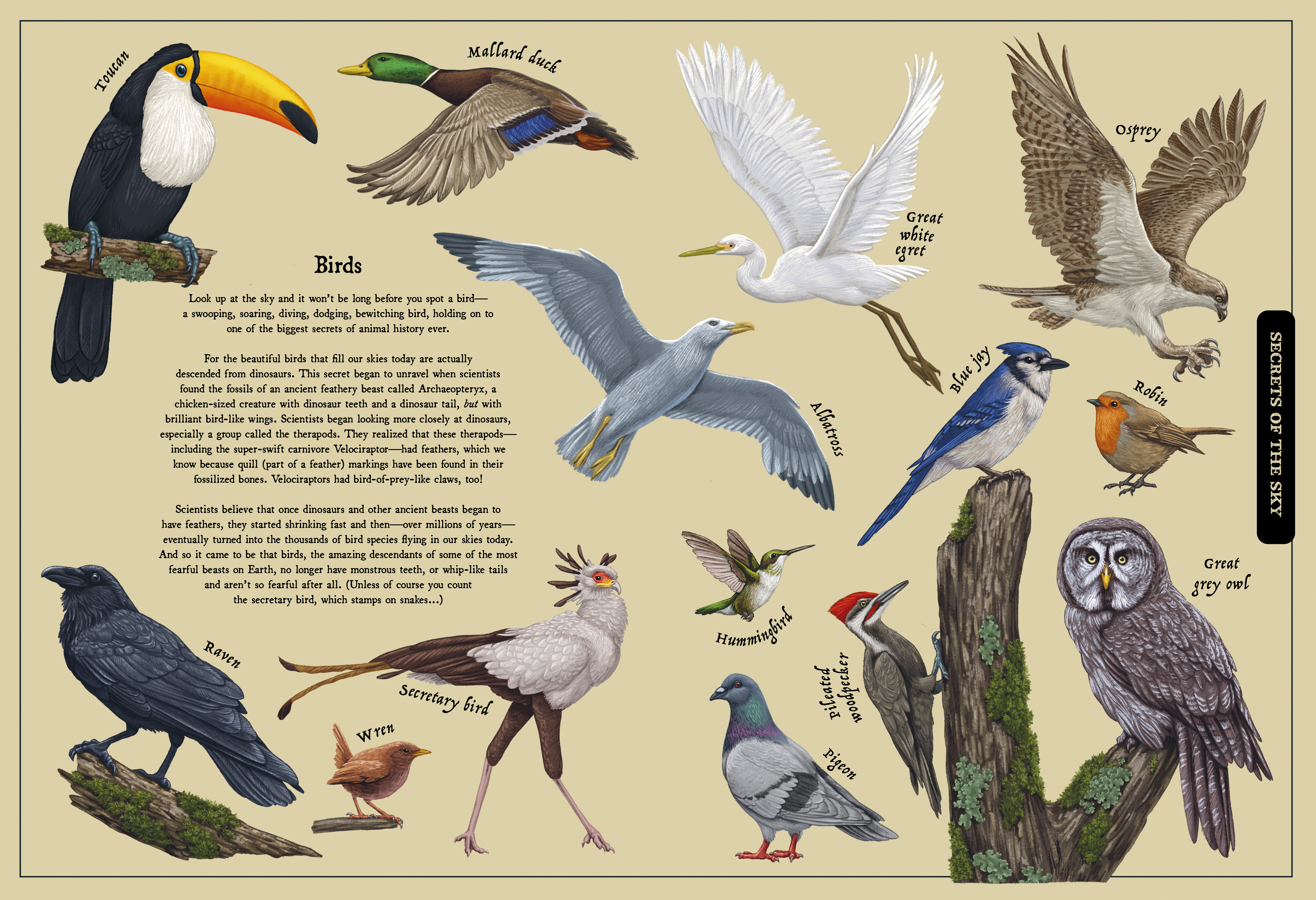 Secret Stories of Nature by Saskia Gwinn Quarto At A Glance The(05)