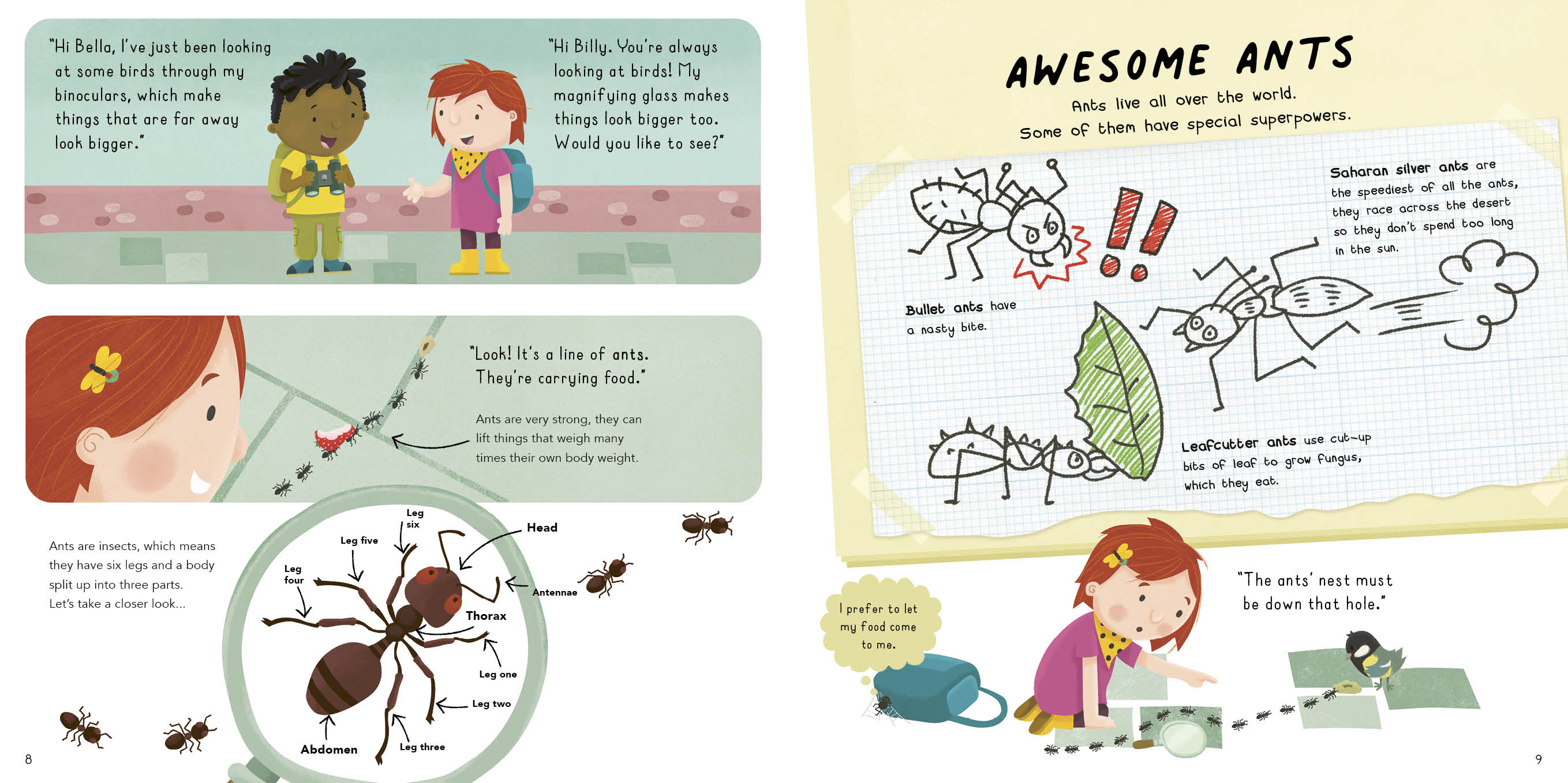 Bella Loves Bugs by Jess French Quarto At A Glance The Quarto Group