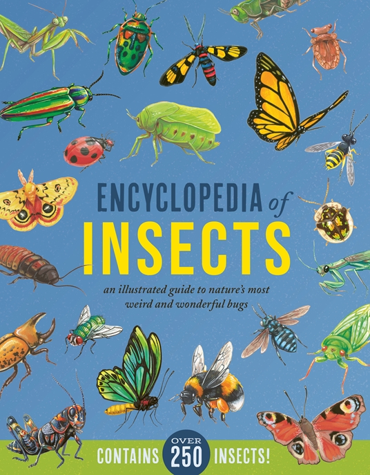 Encyclopedia of Insects by Jules Howard Quarto At A Glance The Quarto Group