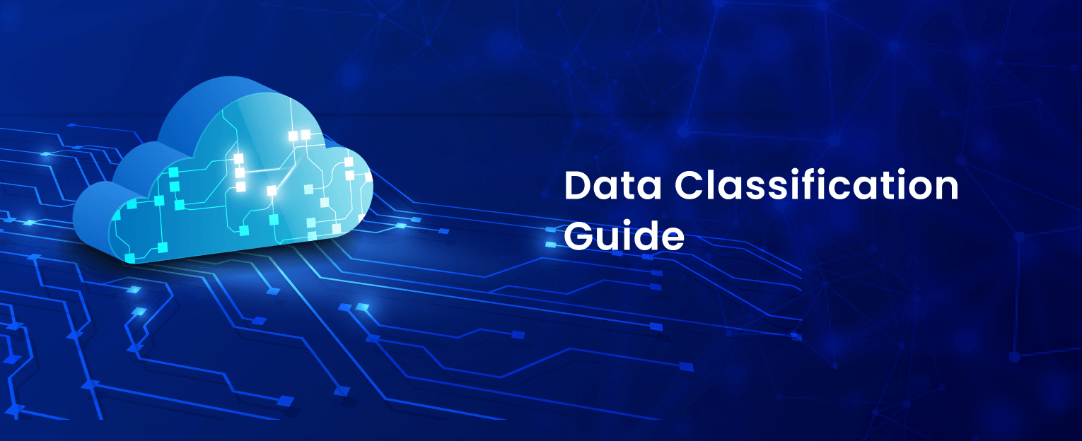 5 Types of Data Classification Examples, Benefits & Process