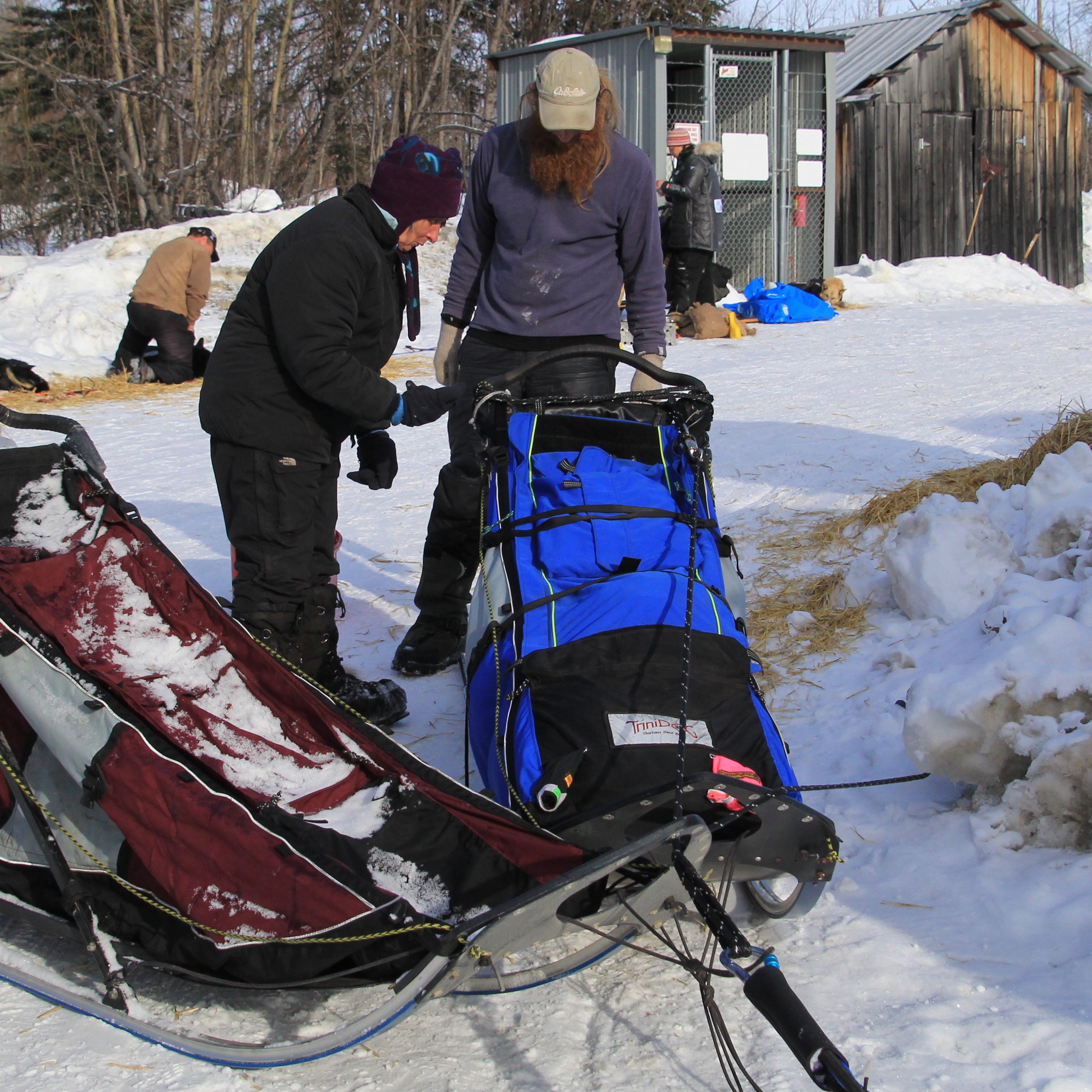 iditarod 2023 schedule Eye on the Trail McGrath Thinning Out Iditarod