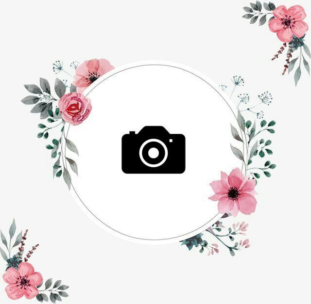 Flower Picture For Cover Photo Flowers Dahlias Roses And Carnations