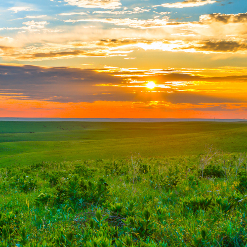 Kansas Real Estate Continuing Education OnlineEd