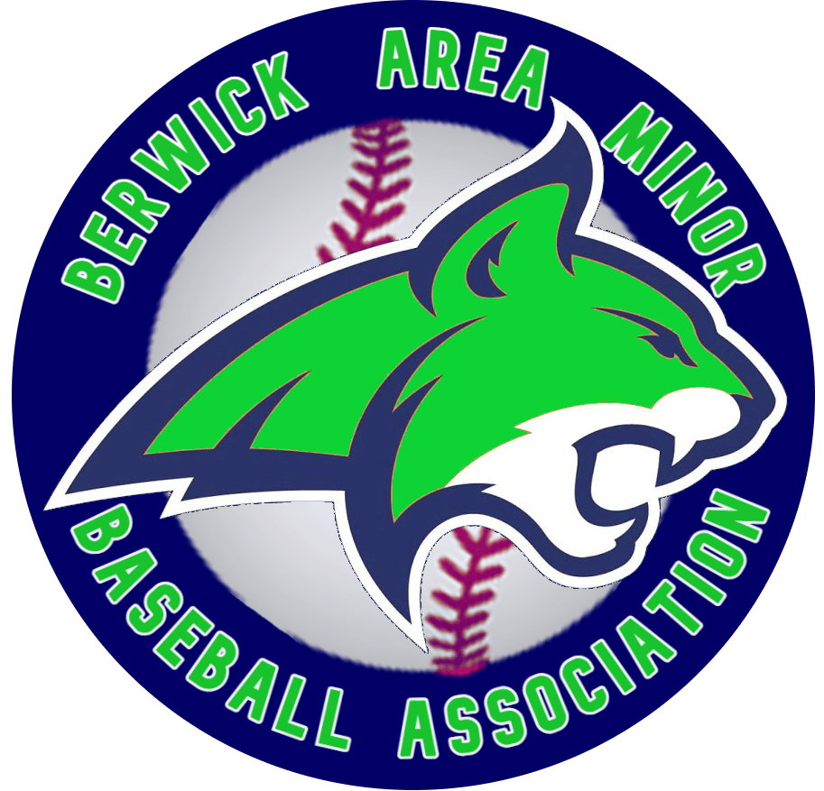 Baseball Nova Scotia site by RAMP InterActive