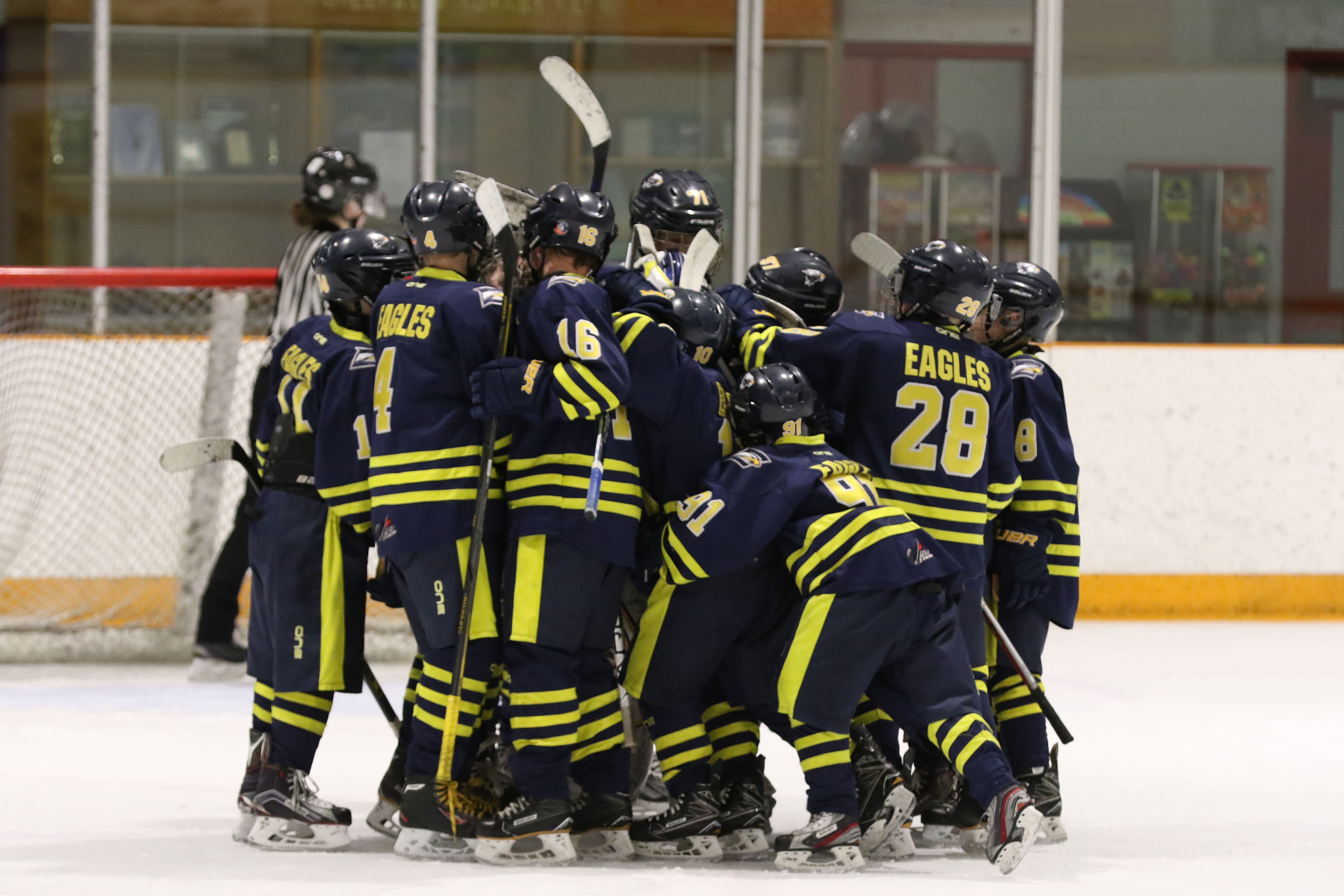 Eagles Hockey Academy Website by RAMP InterActive