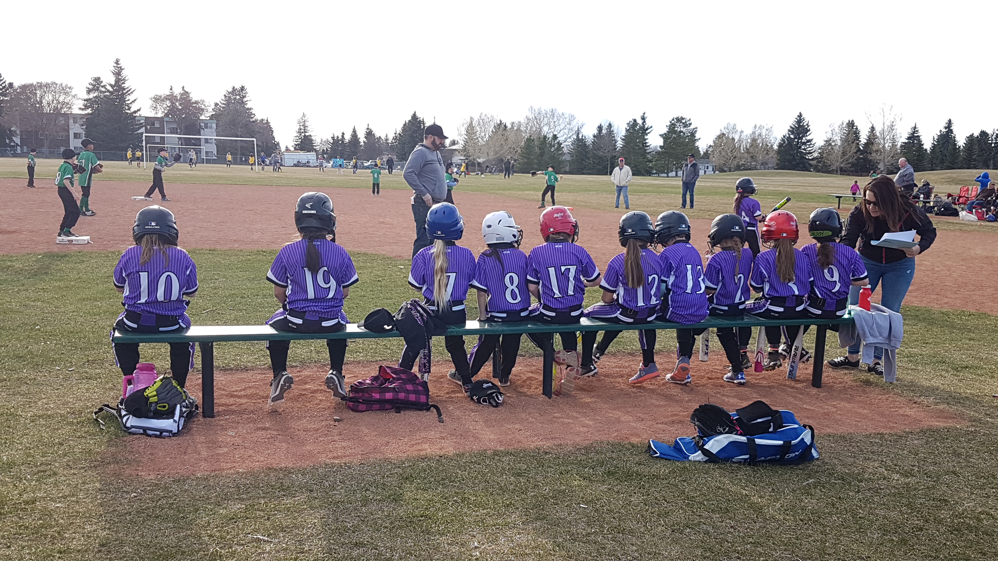 South Edmonton Minor Softball Association site by RAMP InterActive
