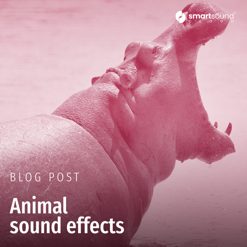 Animal sound effects Smartsound Cloud