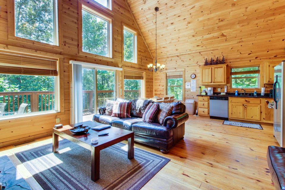Blue Ridge Cabin Rentals Helen, GA
