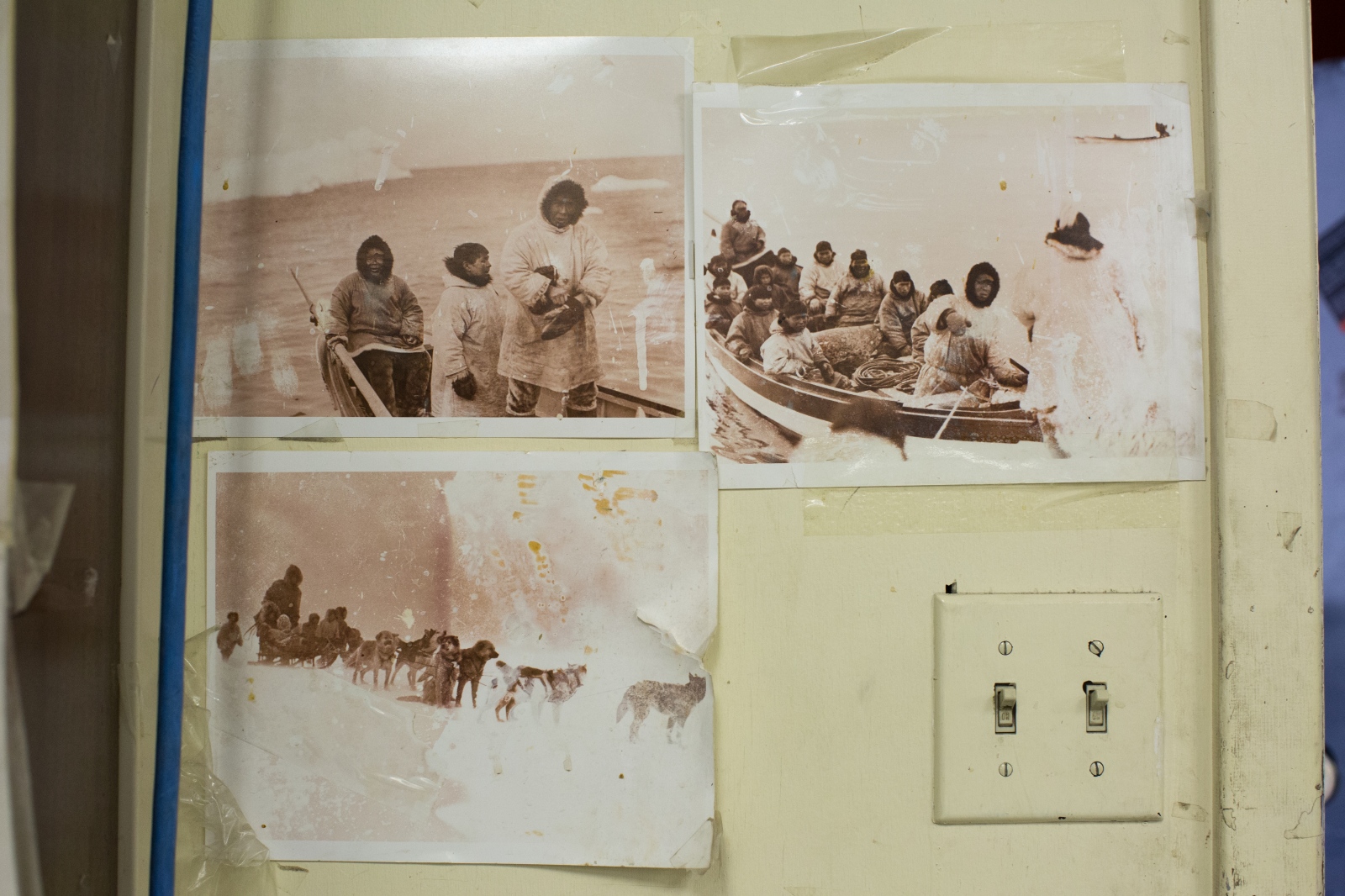 THE TEENAGE WHALER ASH ADAMS