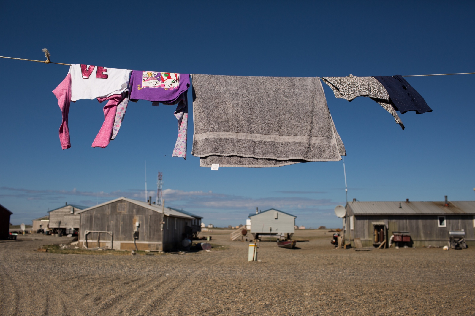 THE TEENAGE WHALER ASH ADAMS