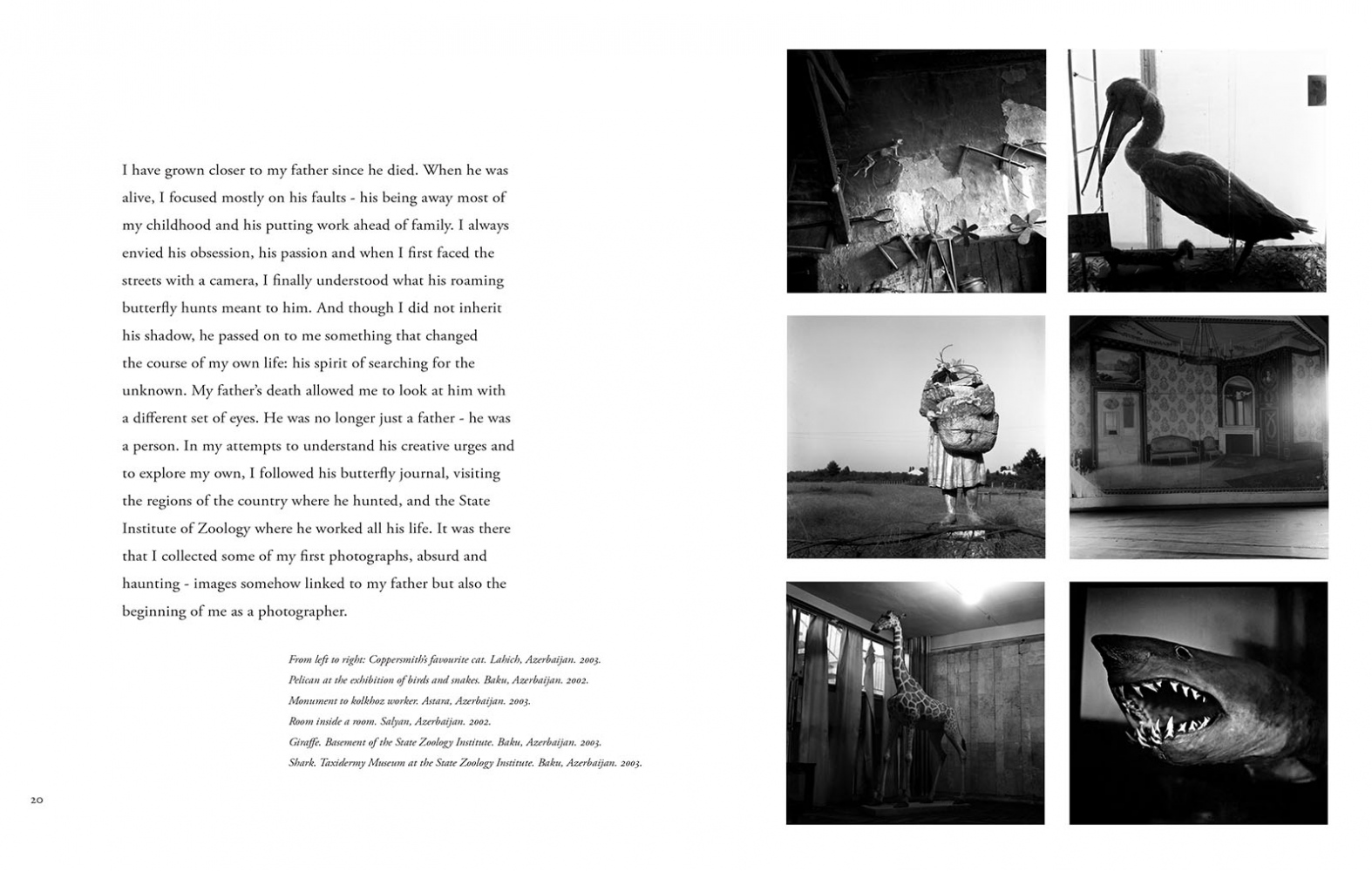 BOOK LIQUID LAND Rena Effendi