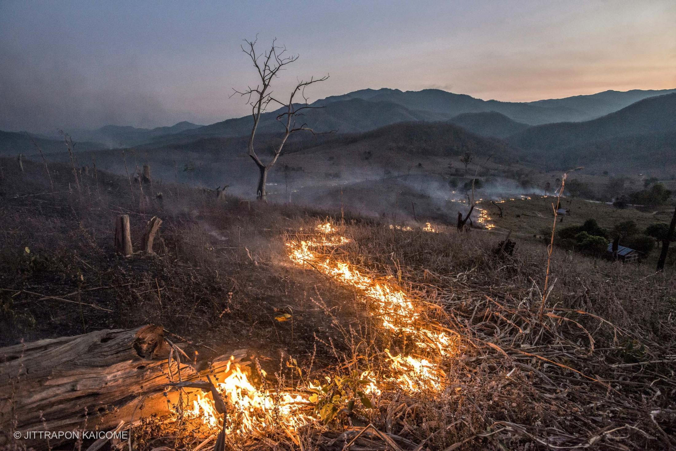 Chiang Mai Air Pollution Smoke Crisis in Northern Thailand