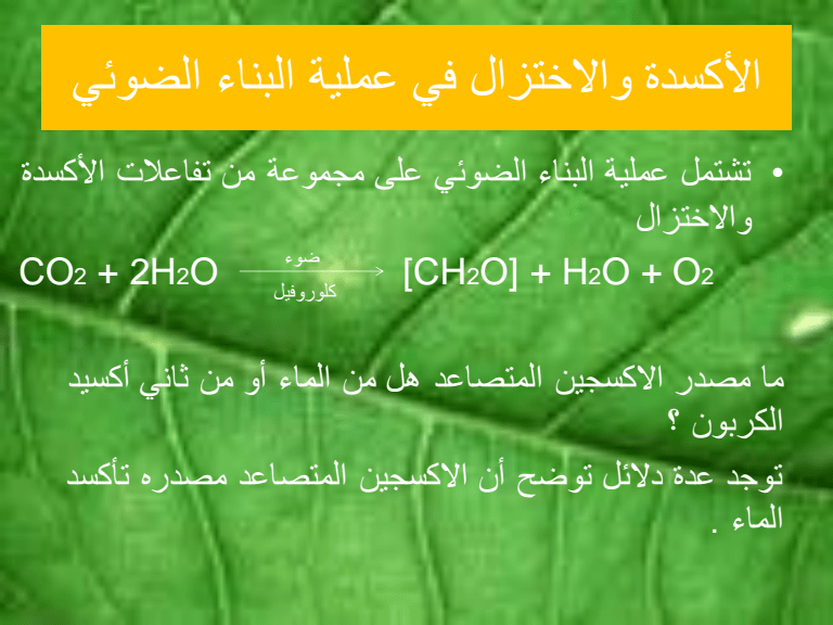 البناء الضوئي الملفات باك دوك