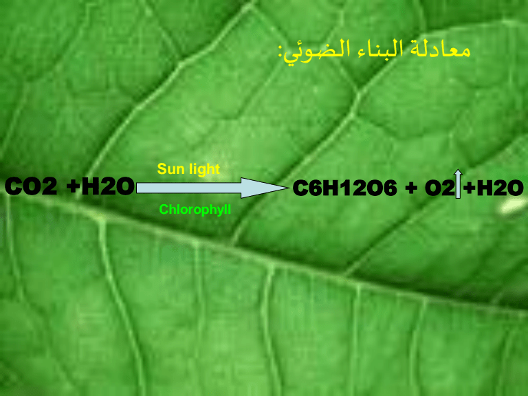 البناء الضوئي الملفات باك دوك