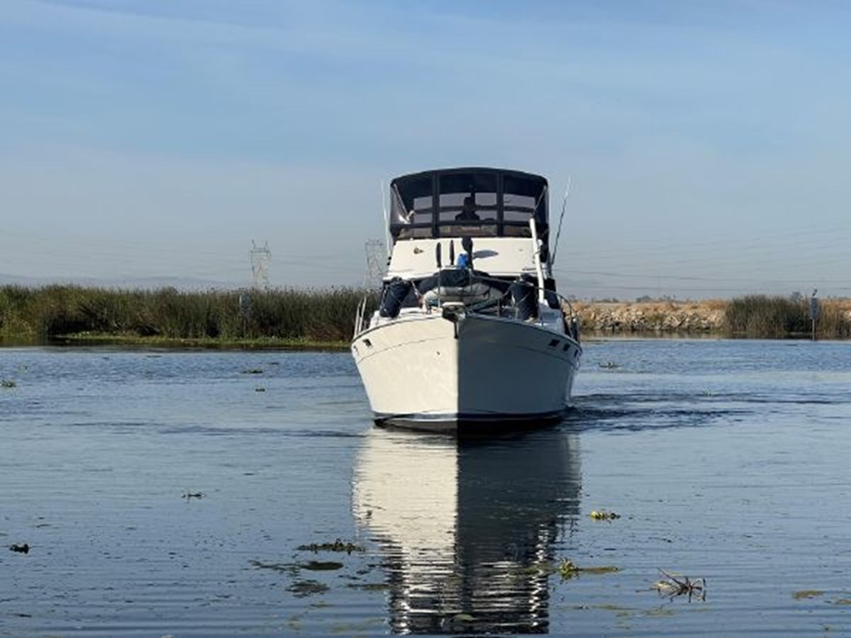 1987 42' BAYLINER in Stockton California United States (314047) Bay