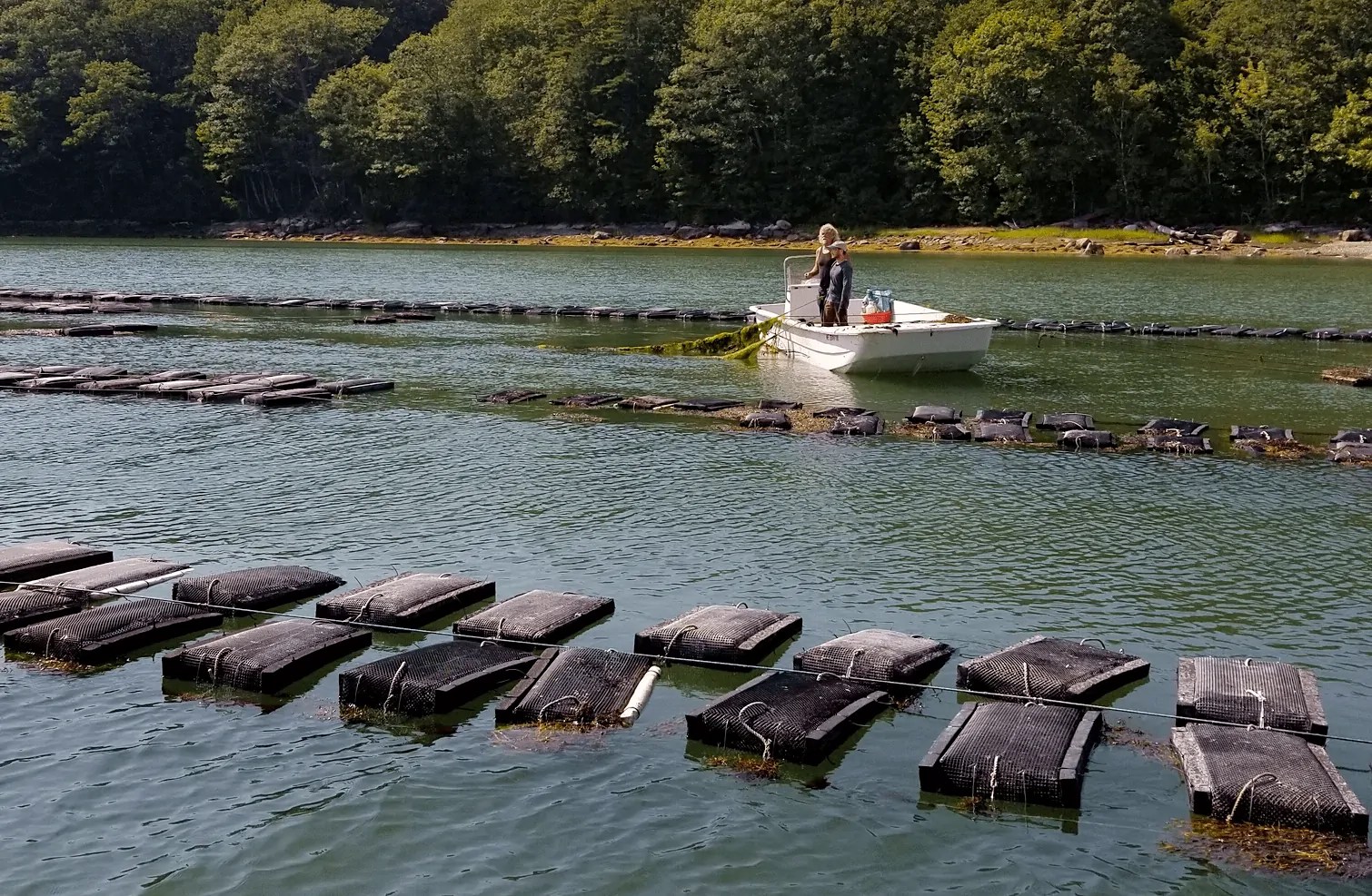 Wanderlust The Maine Course, Portland Part 2 Stark Insider