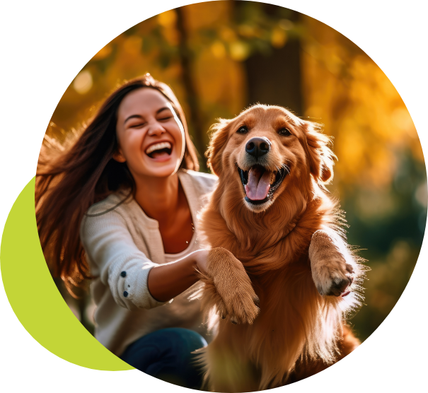 Pet Euthanasia in Watford Dog Euthanasia Cloud 9 Vets