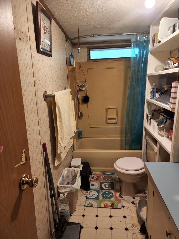 Bathroom Remodeling in Roanoke, VA ReBath