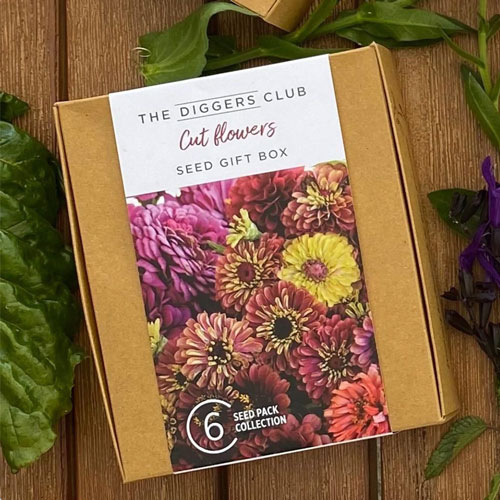 Cloudehill Gardens Olinda, Dandenong Ranges, Victoria Australia