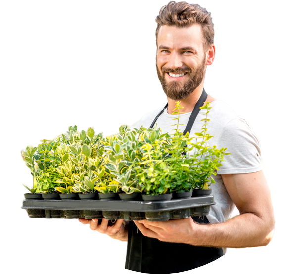 Cloudehill Gardens Olinda, Dandenong Ranges, Victoria Australia