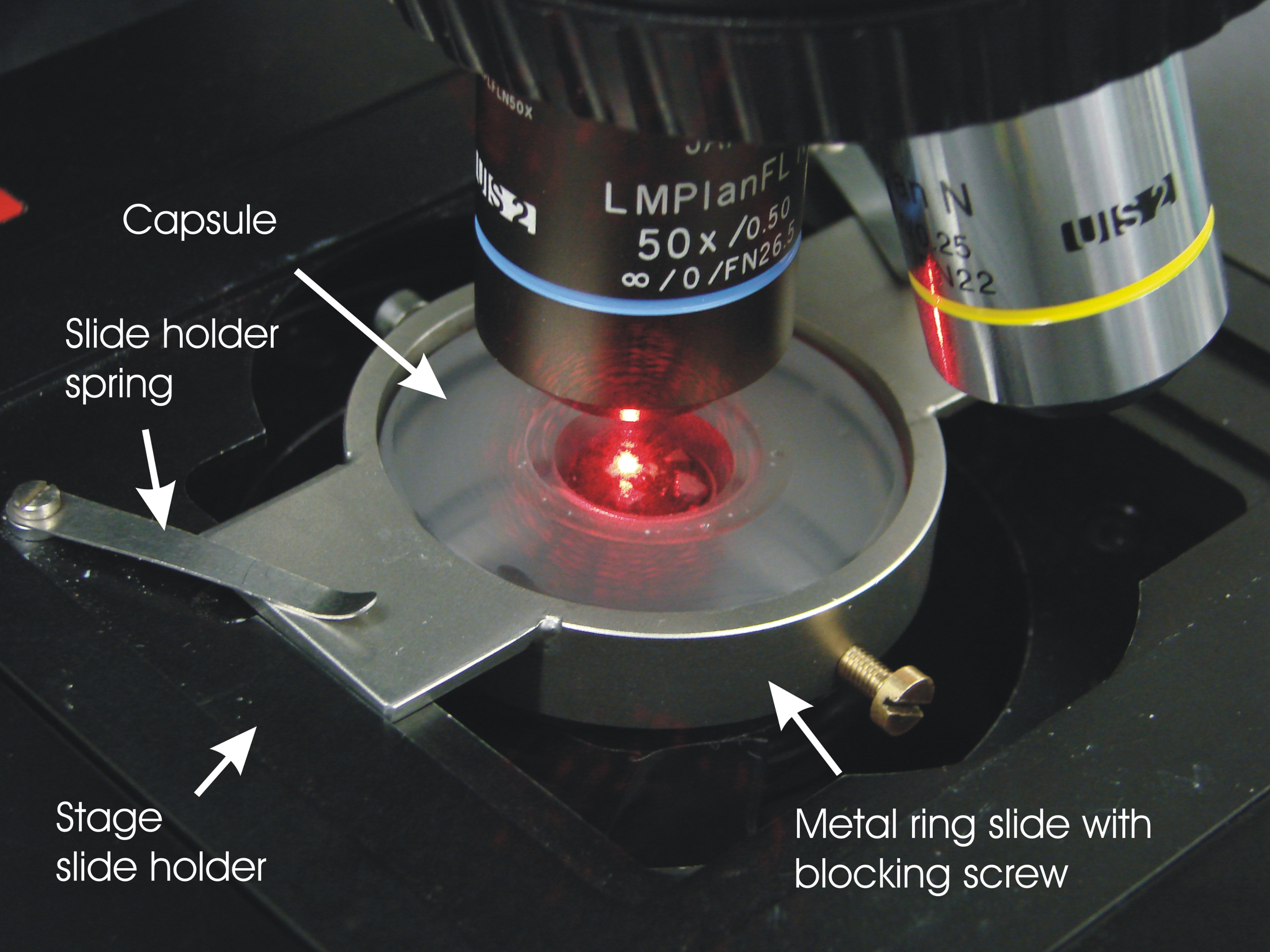 A Novel Technique for Raman Analysis of Highly Radioactive Samples