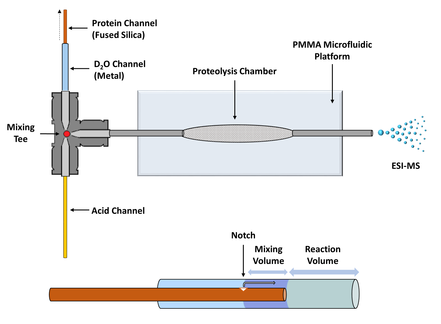 Timeresolved ElectroSpray Ionization Hydrogendeuterium Exchange Mass
