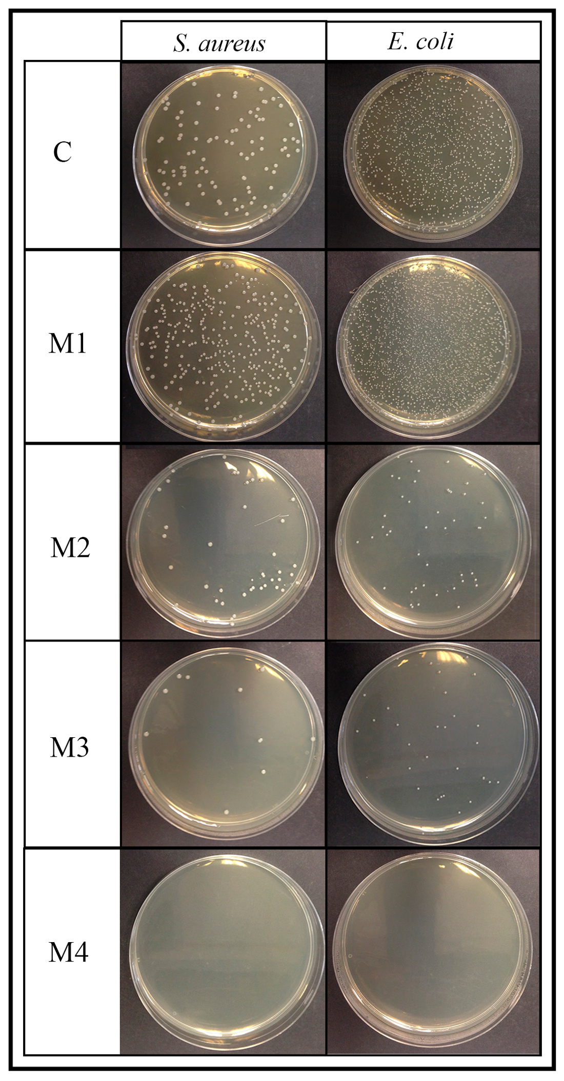 Antimicrobial Characterization of Advanced Materials for Bioengineering