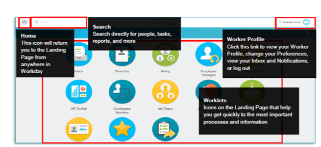 Workday Training and Tutorial The Only HCM course you need