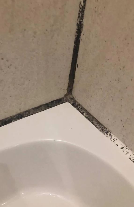 What Removes Black Mould In Bathroom