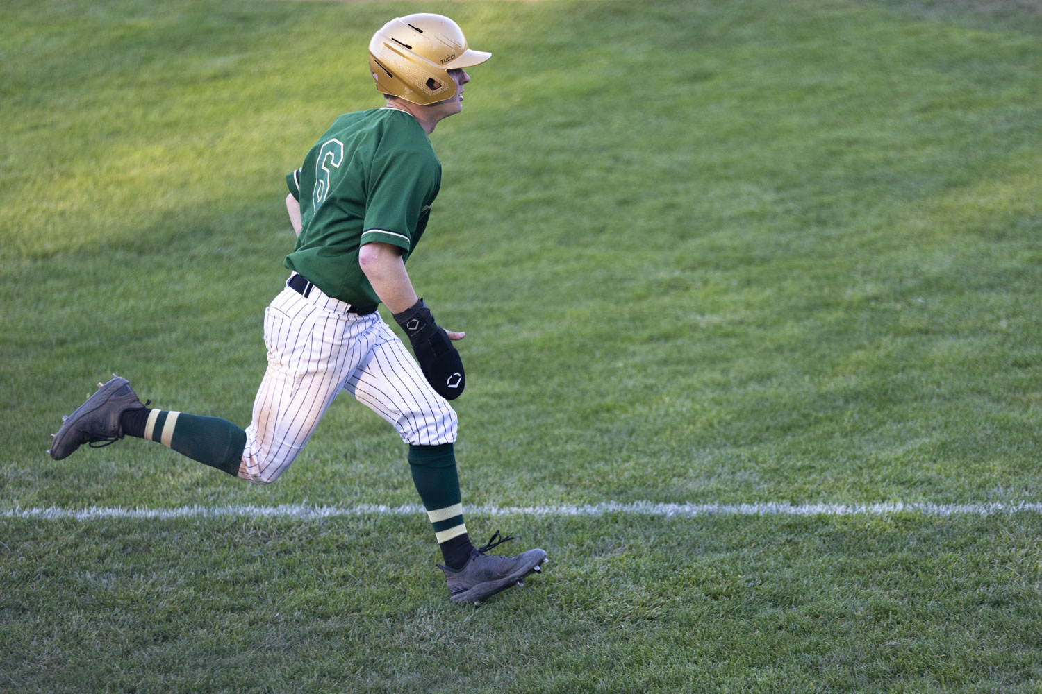 Meet the 2023 MLive baseball Dream Team for the Jacksonarea