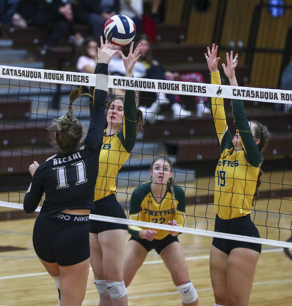 District 11 3A girls volleyball final Allentown Central Catholic vs