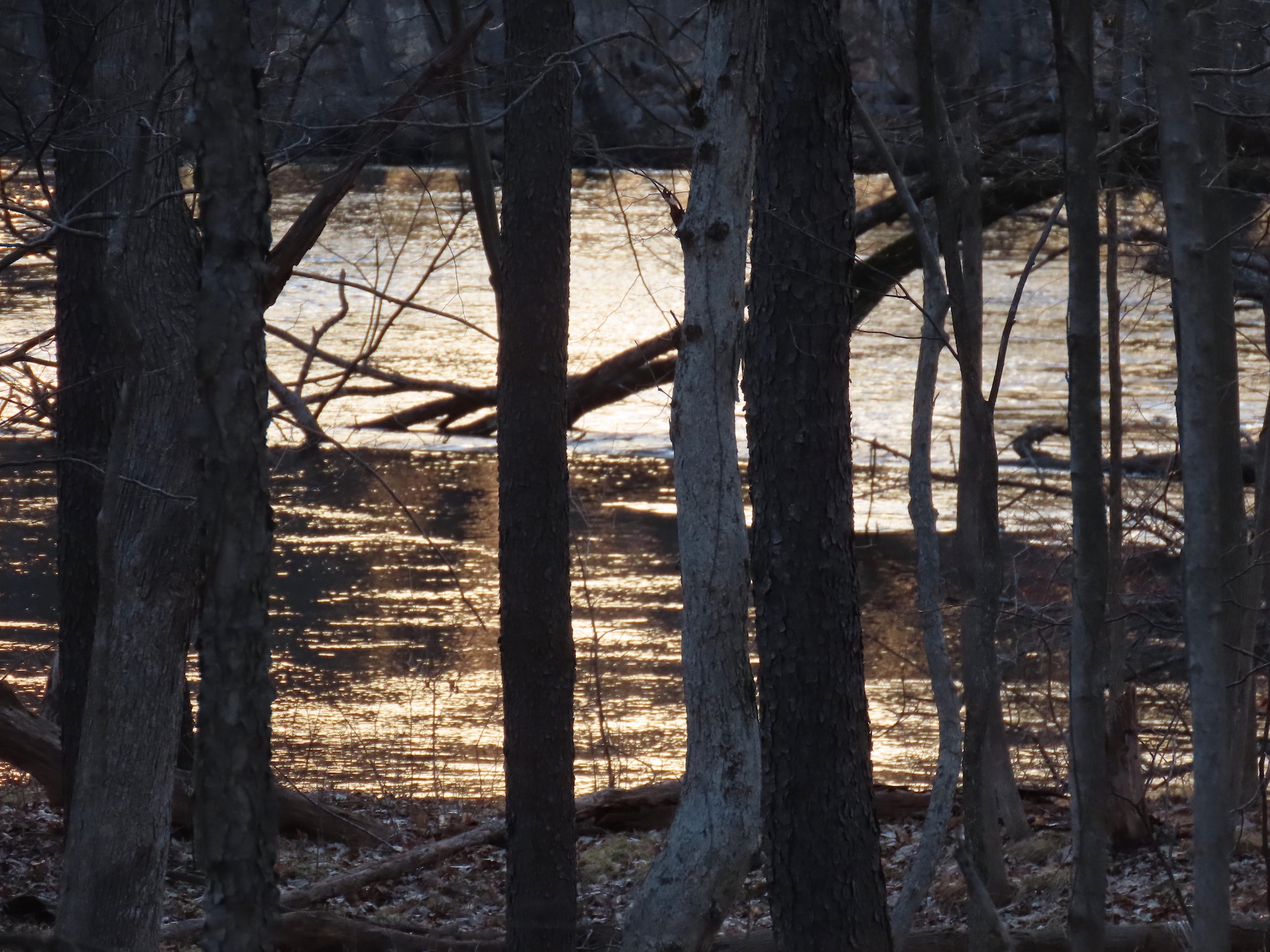 EGLE investigates PFAS at old Wolverine Worldwide sole plant