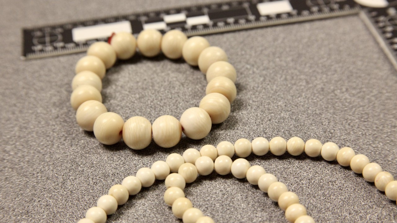 Update more than 75 african ivory bracelet best 3tdesign.edu.vn