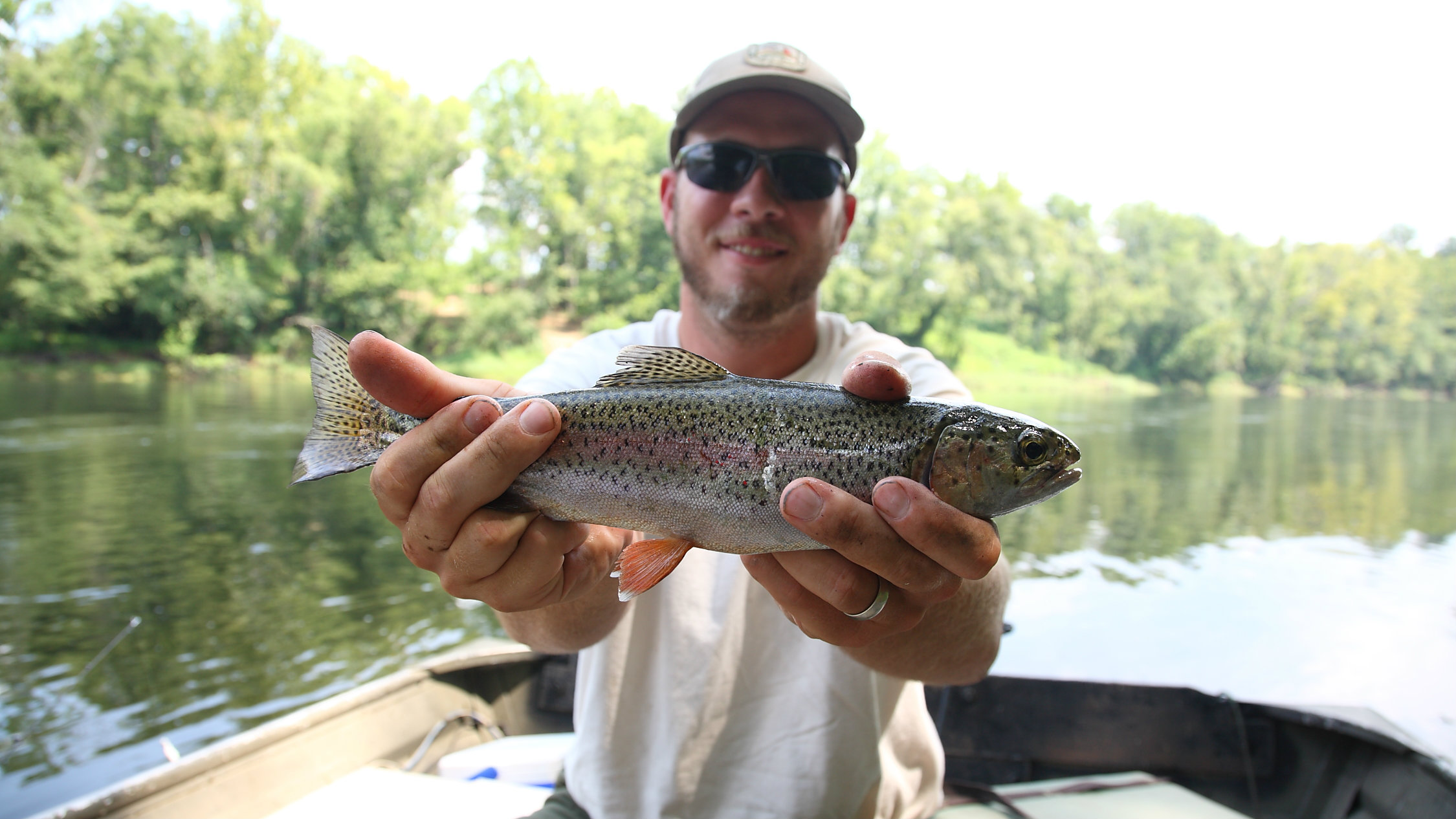 Laurel Lake Ky Fishing Report 2018 All About Fishing