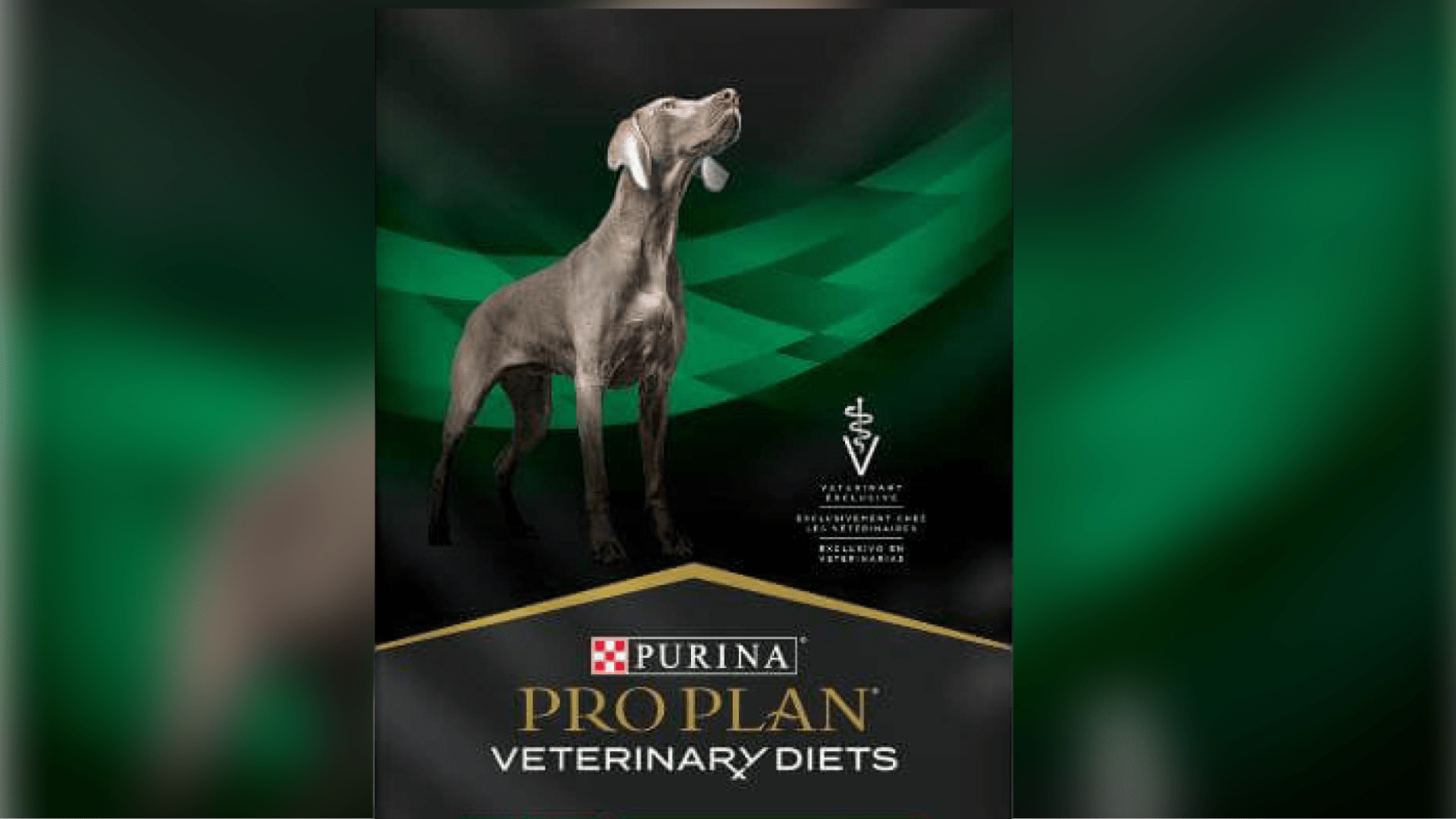 What Dry Dog Food Has Been Recalled