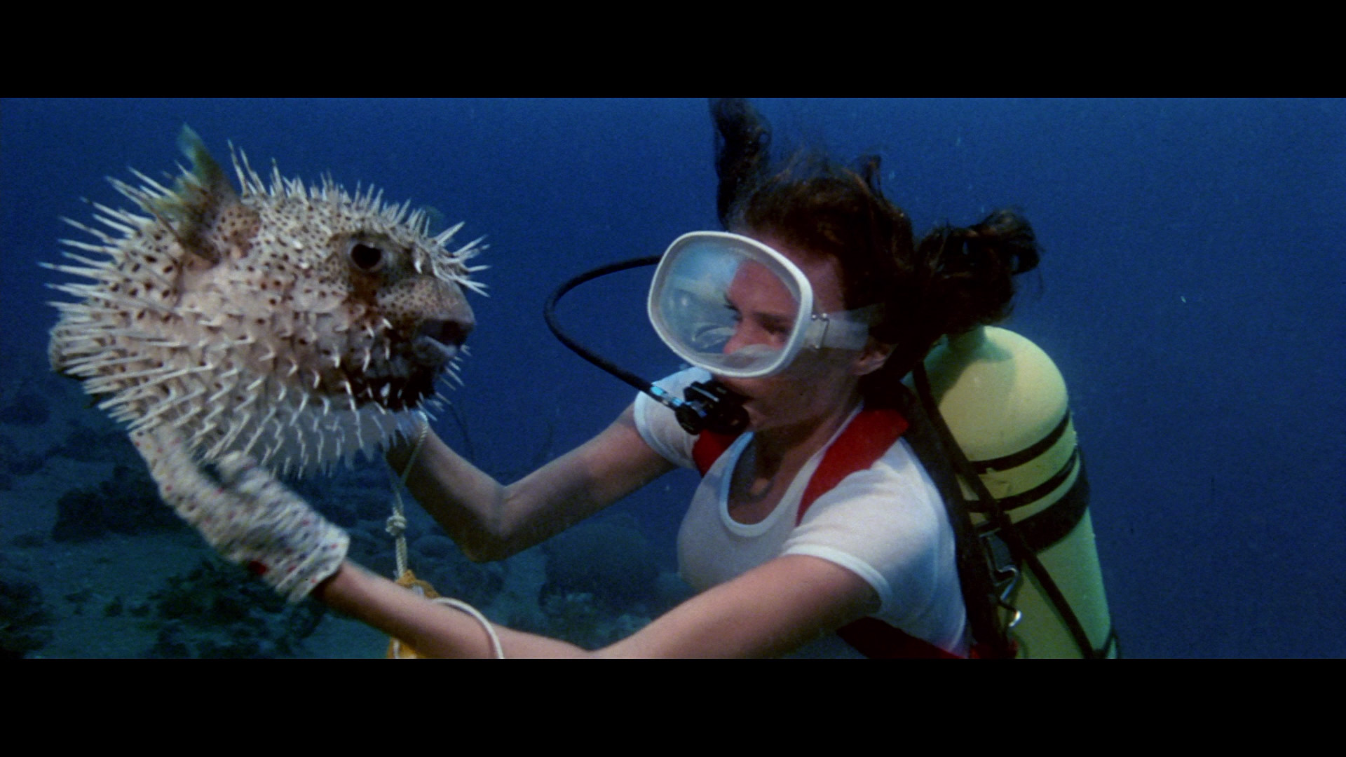 Bermuda The Deep Peter Benchley Jacqueline Bisset Nick Nolte