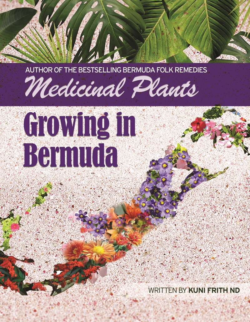 New Book Medicinal Plants Growing in Bermuda Bernews