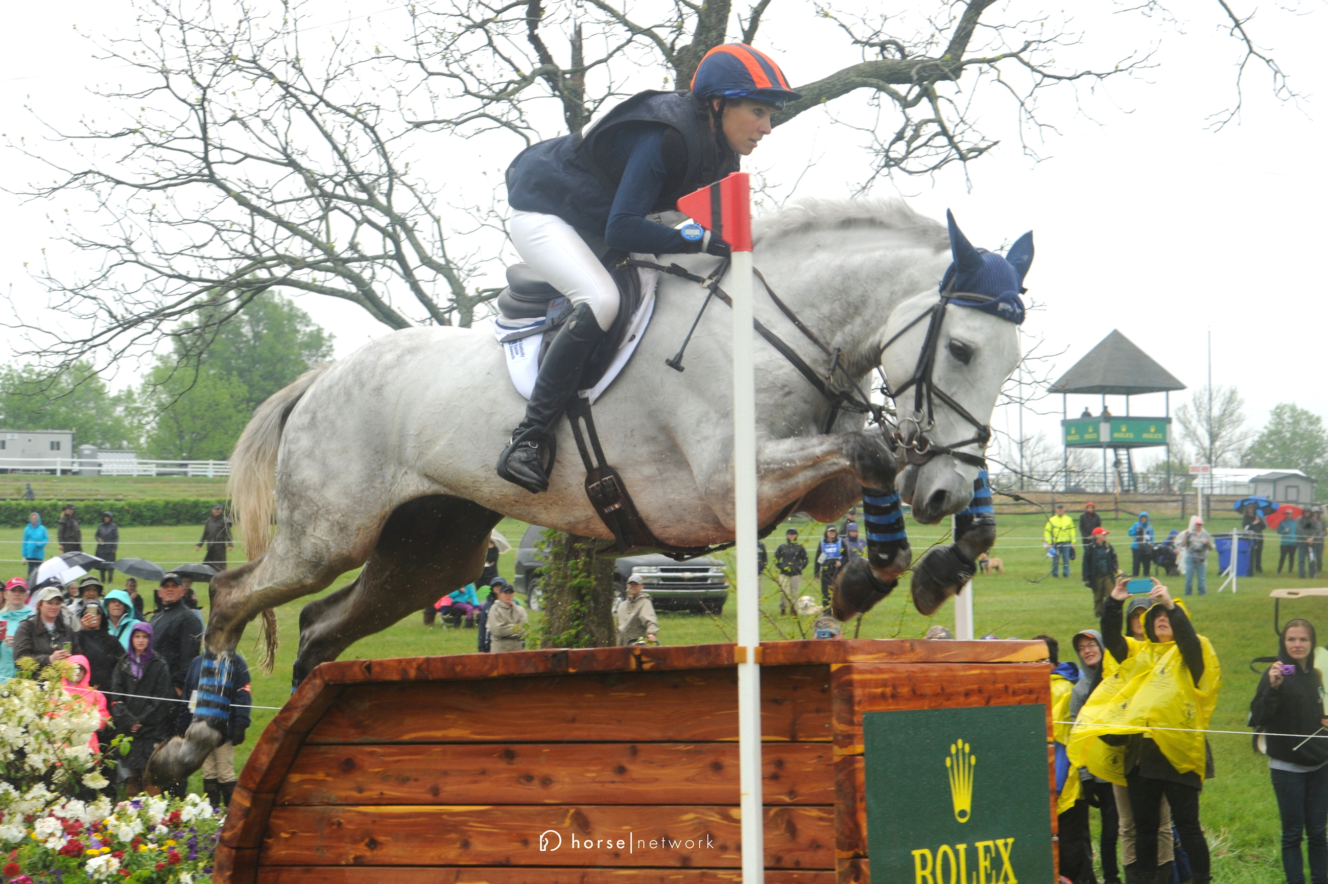 The Demise of the Irish Sport Horse