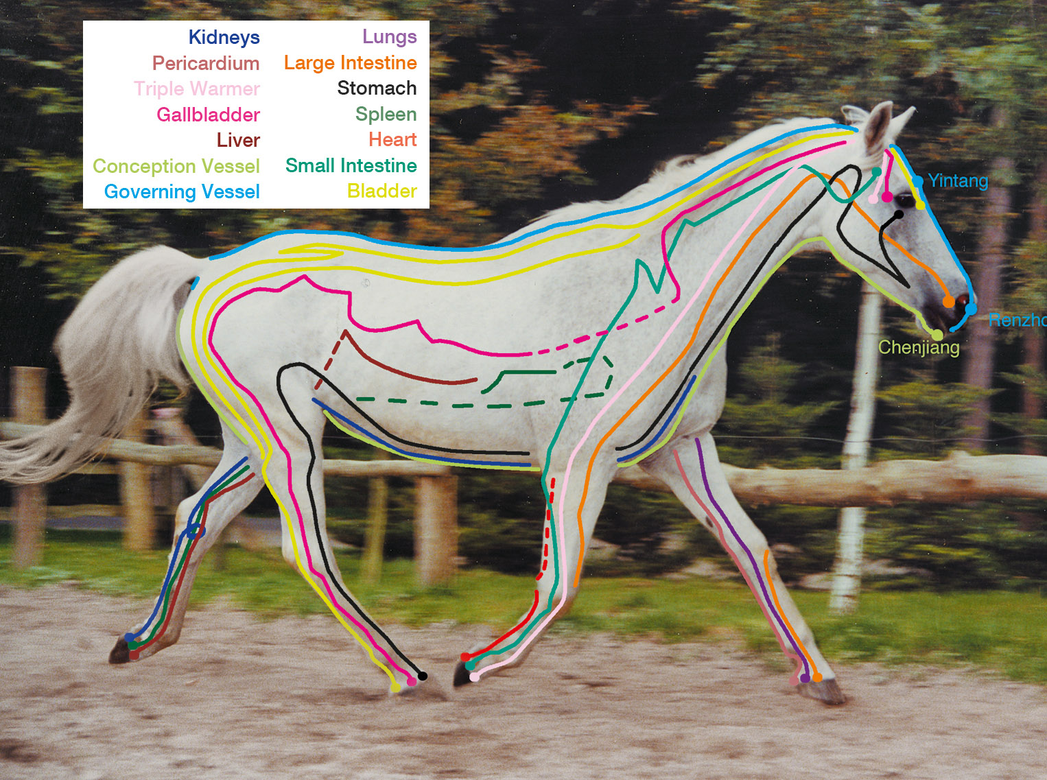 The Good Kind of Pressure